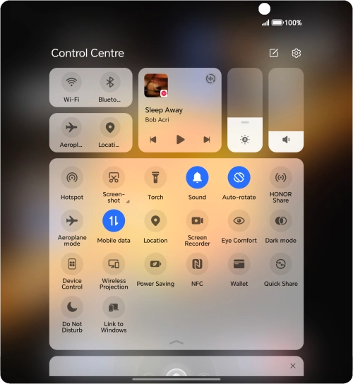 Press the mobile data icon to turn the function on or off.