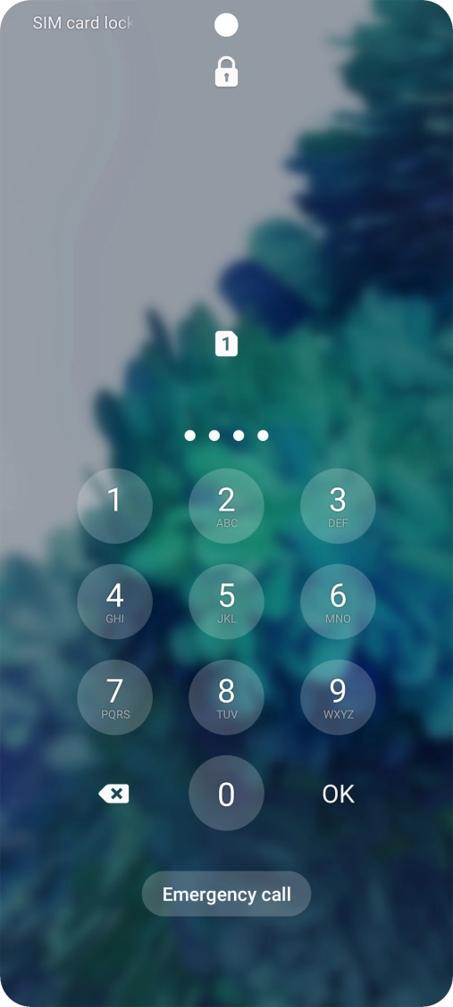 If you're asked to key in your PIN, do so and press OK. The default PIN is 1111.