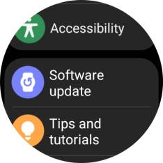 Press Software update.