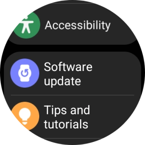 Press Software update.
