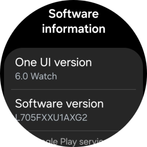 The software version of your smartwatch is displayed below Software version.