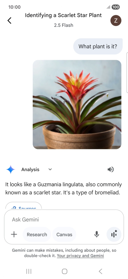 Follow the instructions on the screen to type or speak the required question. You can also attach pictures or documents and ask questions to them.