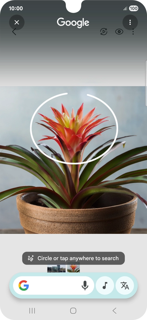 Draw a circle around the required object on the picture and wait for the search results.