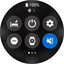 Press the suppression of calls and notifications icon to turn the function on or off.