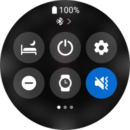 Press the suppression of calls and notifications icon to turn the function on or off.