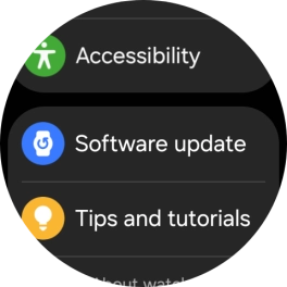 Press Software update.