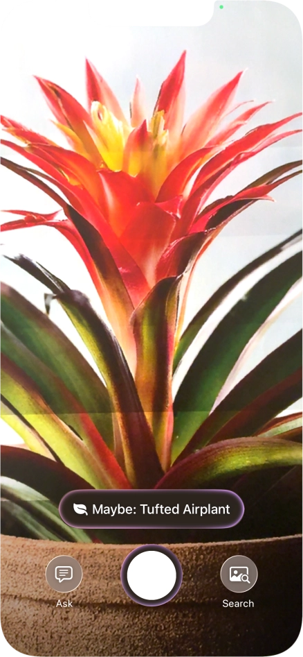 For information about animals and plants, press the information field.