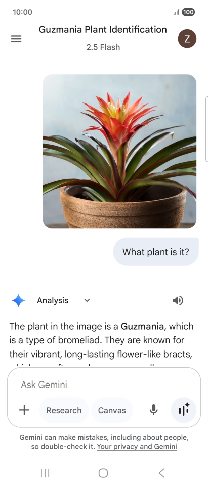 Follow the instructions on the screen to type or speak the required question. You can also attach pictures or documents and ask questions to them.