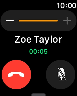 Press the end call icon to end the call and return to the home screen.