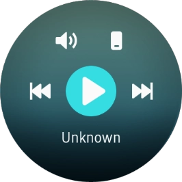 Press the storage device icon to select audio file playback from your smartwatch or your phone.