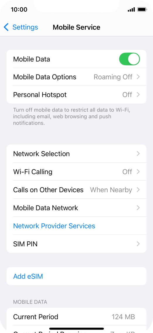 Press Mobile Data Options.