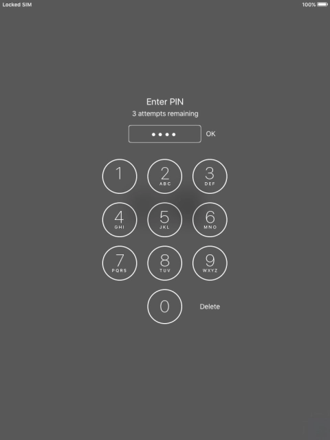 Key in your PIN and press OK. The default PIN is 1111.