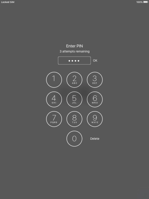 Key in your PIN and press OK. The default PIN is 1111.