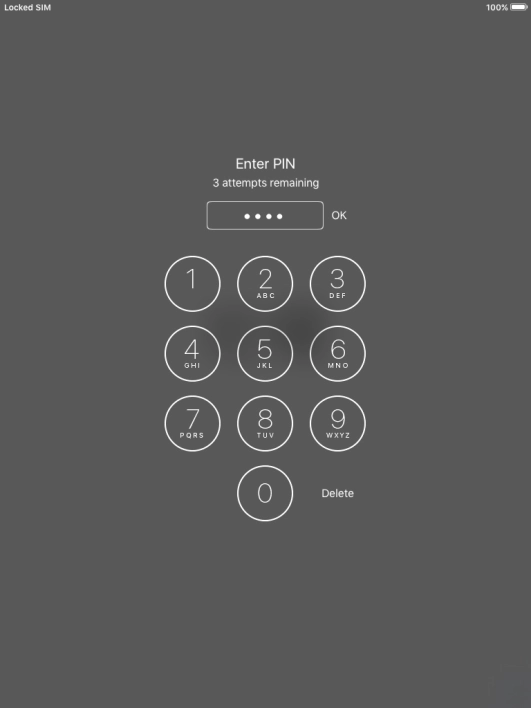 Key in your PIN and press OK. The default PIN is 1111.