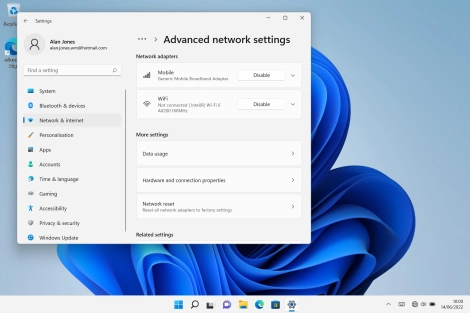 Click Network reset.