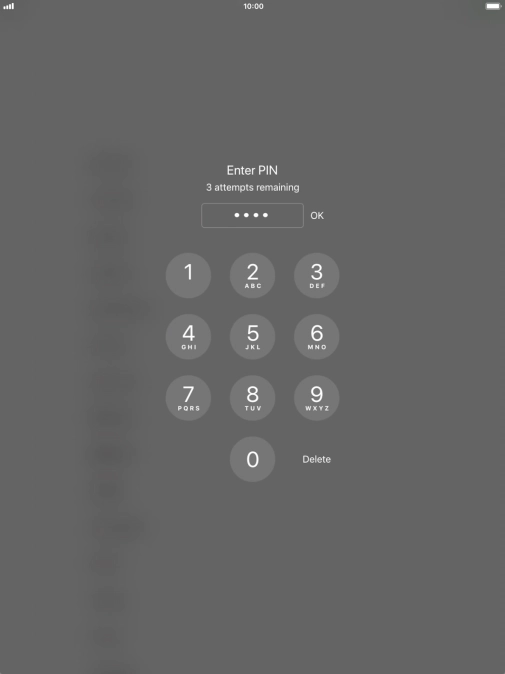 Key in your PIN and press OK. The default PIN is 1111.