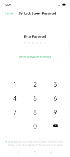 Press Other Encryption Methods.