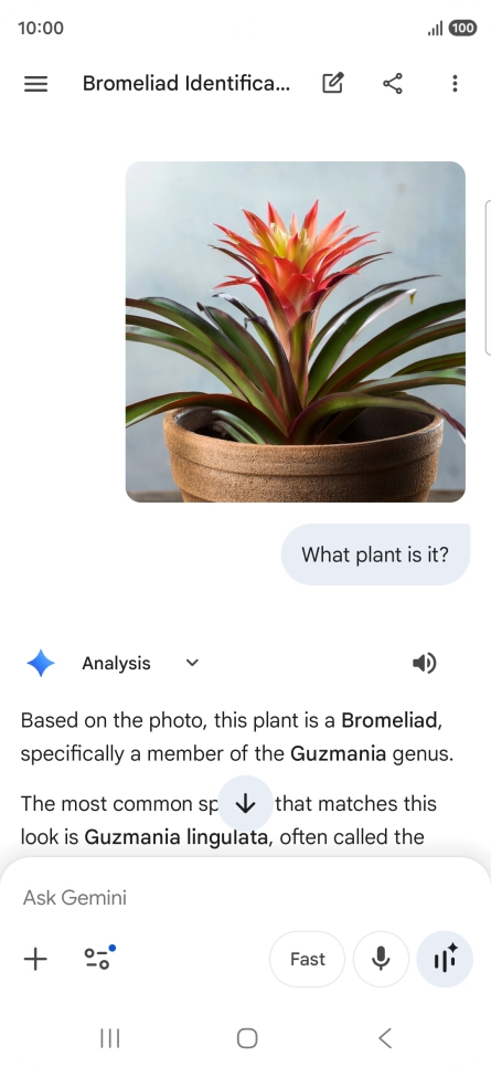 Follow the instructions on the screen to type or speak the required question. You can also attach pictures or documents and ask questions to them.