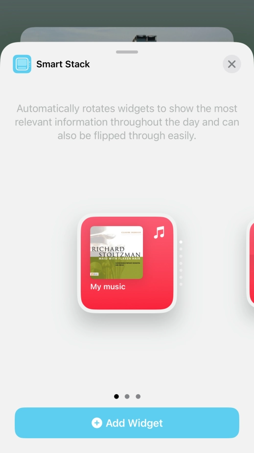 Slide your finger right or left on the screen to select the required widget size.