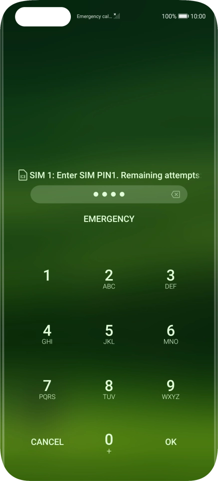 If you're asked to key in your PIN, do so and press OK. The default PIN is 1111.