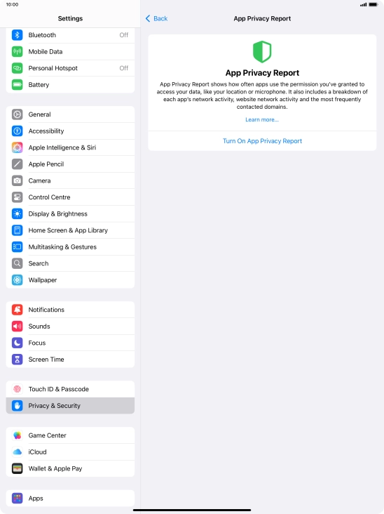 Press Turn On App Privacy Report to turn on the function.