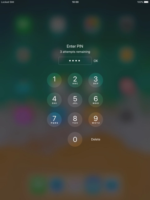 Key in your PIN and press OK. The default PIN is 1111.