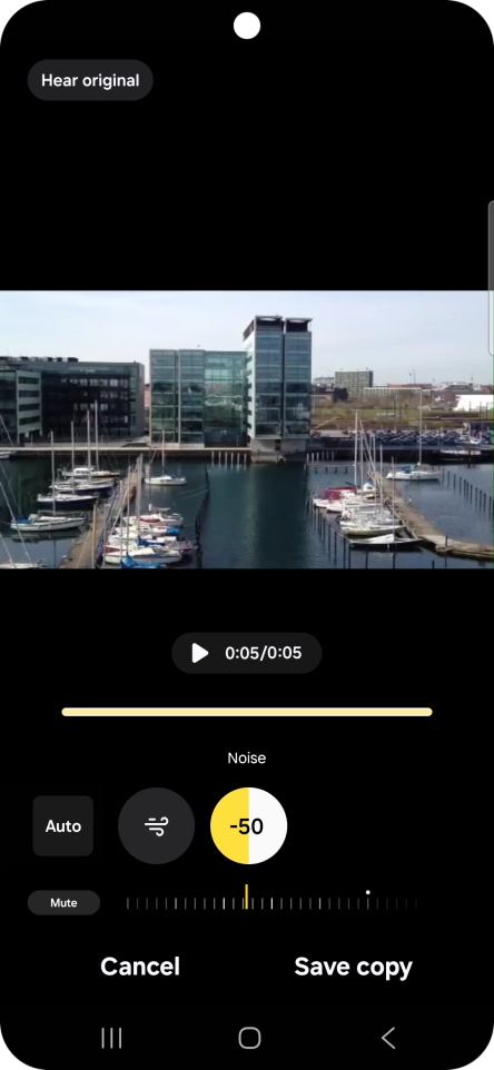 Press Mute to completely remove the selected audio type from the video.