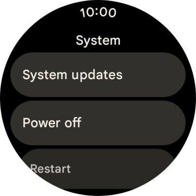 Press System updates. If a new software version is available, it's displayed. Follow the instructions on the screen to update the smartwatch software.