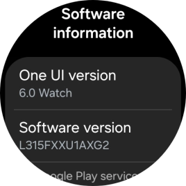 The software version of your smartwatch is displayed below Software version.