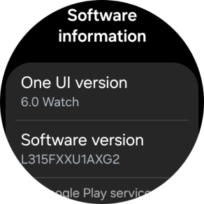 The software version of your smartwatch is displayed below Software version.