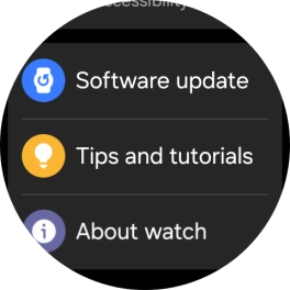 Press Software update.