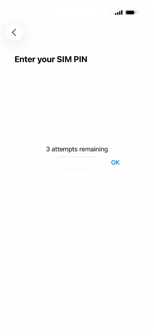 If your SIM is locked, key in your PIN and press OK. The default PIN is 1111.