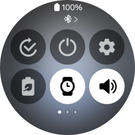 Press the power off icon.