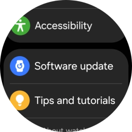 Press Software update.