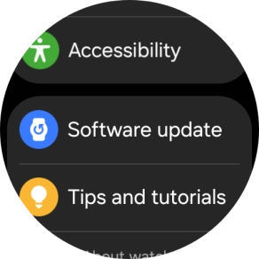 Press Software update.
