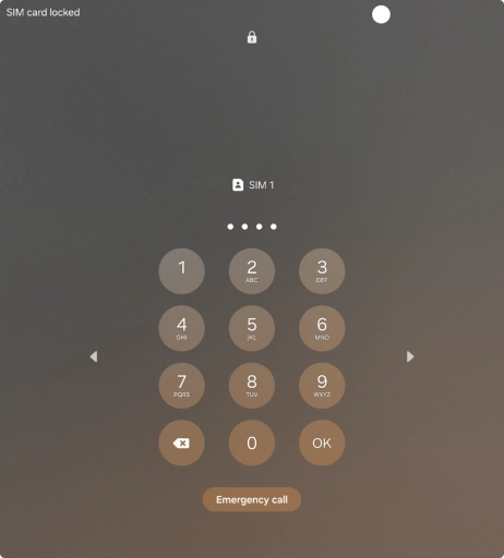 If you're asked to key in your PIN, do so and press OK. The default PIN is 1111.