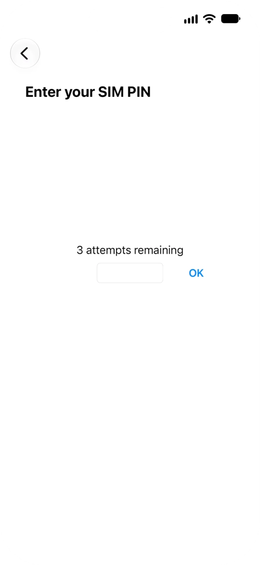 If your SIM is locked, key in your PIN and press OK. The default PIN is 1111.