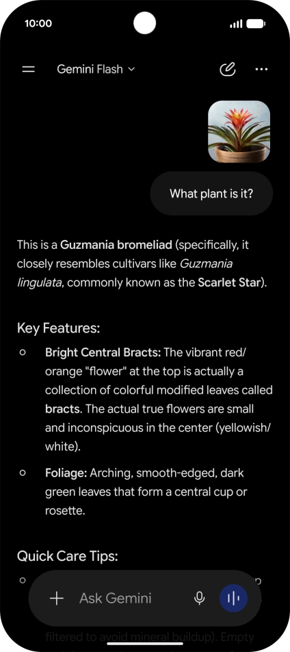 Follow the instructions on the screen to type or speak the required question. You can also attach pictures or documents and ask questions to them.