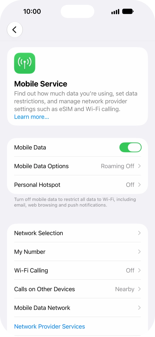 Press Mobile Data Options.
