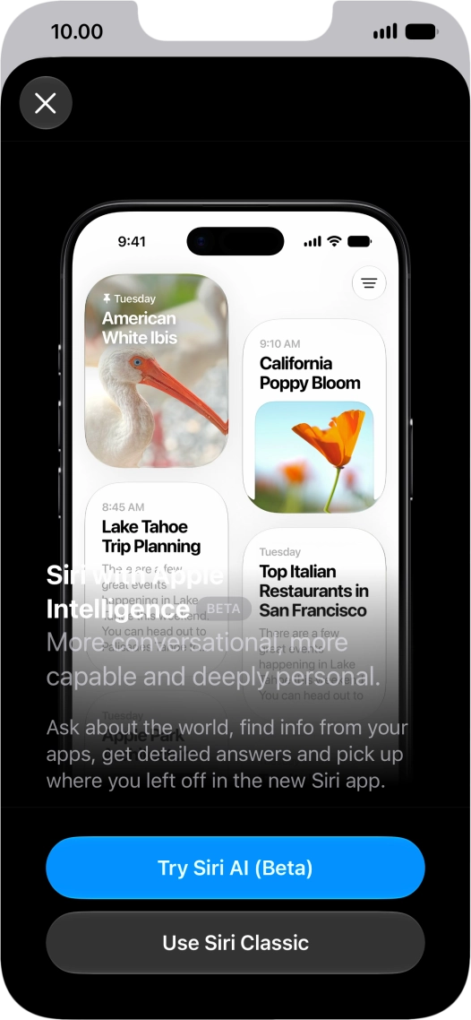 Press Try Siri AI and follow the instructions on the screen to turn on the function.