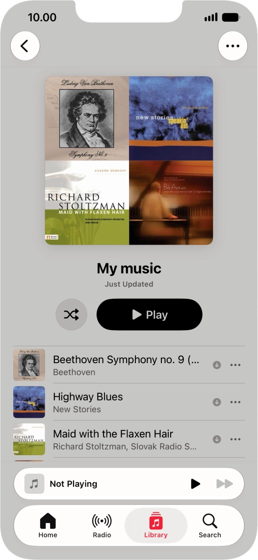Go to the required category or playlist and press the required audio file.