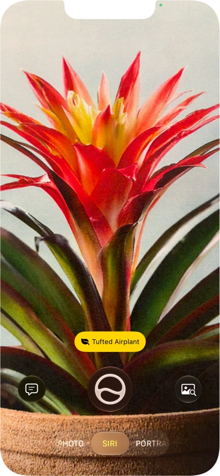 For information about animals and plants, press the information field.