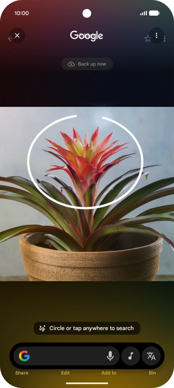 Draw a circle around the required object on the picture and wait for the search results.