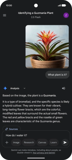 Follow the instructions on the screen to type or speak more questions to continue the conversation.