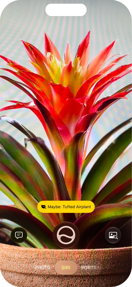 For information about animals and plants, press the information field.