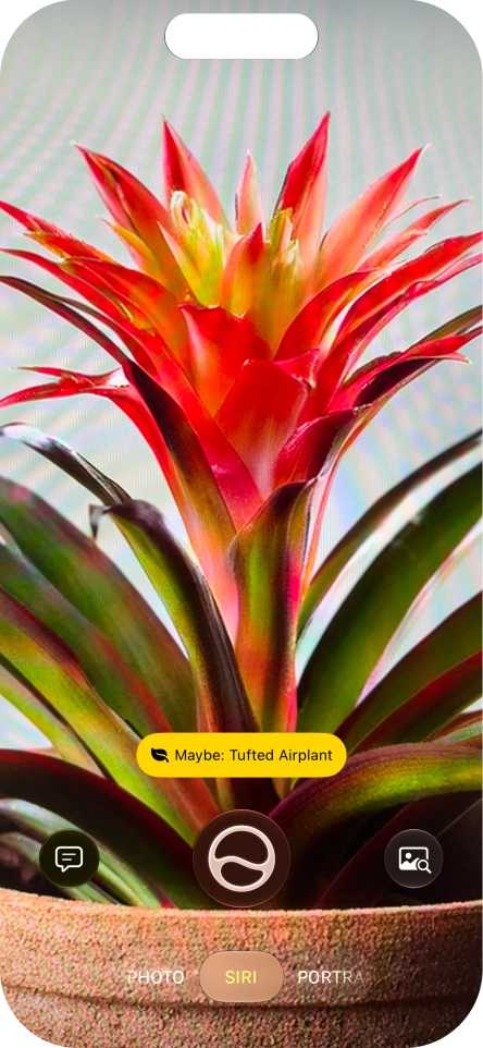 For information about animals and plants, press the information field.