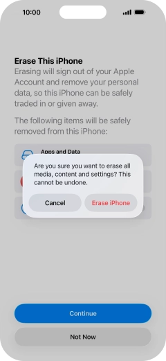 Press Erase iPhone.