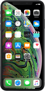 Apple iPhone Xs Max