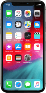 Apple iPhone X