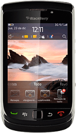 BlackBerry 9800 Slider